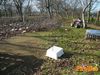 Filename=Cicciano_2016_156_Lieto_Ugo.jpg
Filesize=395KB
Dimensions=1024x768
Date added=Feb 08, 2016 Cicciano_2016_156_Lieto_Ugo.jpg