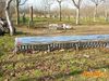 Filename=Cicciano_2016_157_Lieto_Ugo.jpg
Filesize=433KB
Dimensions=1024x768
Date added=Feb 08, 2016 Cicciano_2016_157_Lieto_Ugo.jpg