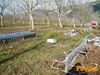 Filename=Cicciano_2016_158_Lieto_Ugo.jpg
Filesize=411KB
Dimensions=1024x768
Date added=Feb 08, 2016 Cicciano_2016_158_Lieto_Ugo.jpg