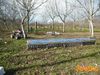 Filename=Cicciano_2016_159_Lieto_Ugo.jpg
Filesize=420KB
Dimensions=1024x768
Date added=Feb 08, 2016 Cicciano_2016_159_Lieto_Ugo.jpg