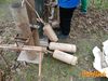 Filename=Cicciano_2016_182_Romano.jpg
Filesize=350KB
Dimensions=1024x768
Date added=Feb 08, 2016 Cicciano_2016_182_Romano.jpg