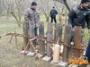 Filename=Cicciano_2016_190_Romano.jpg
Filesize=279KB
Dimensions=1024x768
Date added=Feb 08, 2016 Cicciano_2016_190_Romano.jpg