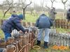 Cicciano_2016_203_Romano.jpg