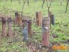 Filename=Cicciano_2016_210_Romano.jpg
Filesize=369KB
Dimensions=1024x768
Date added=Feb 08, 2016 Cicciano_2016_210_Romano.jpg