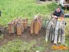 Filename=Cicciano_2016_213_Romano.jpg
Filesize=357KB
Dimensions=1024x768
Date added=Feb 08, 2016 Cicciano_2016_213_Romano.jpg