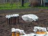 Cimitile_2012_48_Di_Candia.jpg