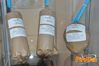 Vallo_fiera_2012_052_stand.jpg