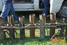 Vallo_fiera_2012_102_Fucito.jpg