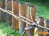 Vallo_fiera_2012_103_Fucito.jpg