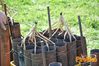 Vallo_fiera_2012_107_Fucito.jpg
