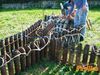 Vallo_fiera_2012_120_Romano.jpg