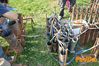 Vallo_fiera_2012_126_Romano.jpg