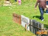 Vallo_fiera_2012_127_Fiorillo.jpg