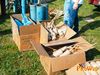 Vallo_fiera_2012_134_Fiorillo.jpg