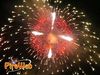 Fisciano_2010_Scudo_28.jpg