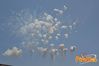 Formia_SGB_2012_01_Ferraro.jpg