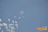 Formia_SGB_2012_05_Ferraro.jpg