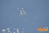 Formia_SGB_2012_07_Ferraro.jpg