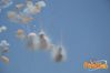 Formia_SGB_2012_09_Ferraro.jpg