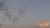 Formia_2012_13_Mattei_fuochi.jpg