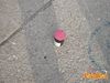Formia_2012_26_Paolelli.jpg