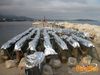 Formia_2012_30_Paolelli.jpg