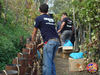 Filename=Novellino_21.jpg
Filesize=282KB
Dimensions=1024x768
Date added=Nov 02, 2009 Novellino_21.jpg