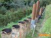 Gragnano_2010_46_Ruocco_Novellino.jpg