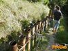 Gragnano_2010_49_Ruocco_Novellino.jpg