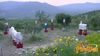 Filename=LuccaSicula_2011_15_La_Rosa.jpg
Filesize=75KB
Dimensions=1024x576
Date added=May 08, 2011 LuccaSicula_2011_15_La_Rosa.jpg