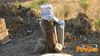 Misterbianco_2013_26_Trebbia.jpg