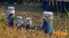 Misterbianco_2013_32_Trebbia.jpg