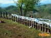 Monte_San_Giovanni_2012_21_Campoli.jpg