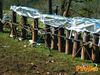 Monte_San_Giovanni_2012_22_Campoli.jpg