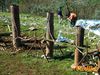 Monte_San_Giovanni_2012_23_Campoli.jpg