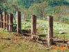 Monte_San_Giovanni_2012_24_Campoli.jpg