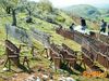 Monte_San_Giovanni_2012_32_Campoli.jpg