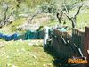 Monte_San_Giovanni_2012_55_Di_Giacomo.jpg