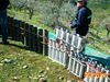 Monte_San_Giovanni_2012_59_Di_Giacomo.jpg