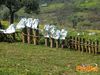 Monte_San_Giovanni_2013_10_Mattei.jpg
