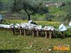 Monte_San_Giovanni_2013_12_Mattei.jpg