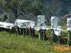 Monte_San_Giovanni_2013_15_Mattei.jpg