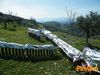 Monte_San_Giovanni_2013_17_Mattei.jpg