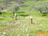 Filename=Monte_San_Giovanni_2013_25_Campoli.jpg
Filesize=329KB
Dimensions=1024x768
Date added=Apr 20, 2013 Monte_San_Giovanni_2013_25_Campoli.jpg
