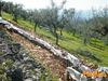 Filename=Monte_San_Giovanni_2013_27_Campoli.jpg
Filesize=401KB
Dimensions=1024x768
Date added=Apr 20, 2013 Monte_San_Giovanni_2013_27_Campoli.jpg