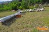 Montefalcione_2013_17.jpg