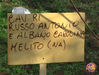 allestimenti_Albano_e_Russo_09.jpg