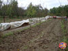 Mugnano_2009_15.jpg