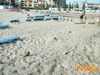 Nettuno_2012_28_Lucidi.jpg