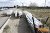 Filename=Novoli_2015_44_diurno_Lieto.jpg
Filesize=698KB
Dimensions=1024x682
Date added=Feb 06, 2015 Novoli_2015_44_diurno_Lieto.jpg